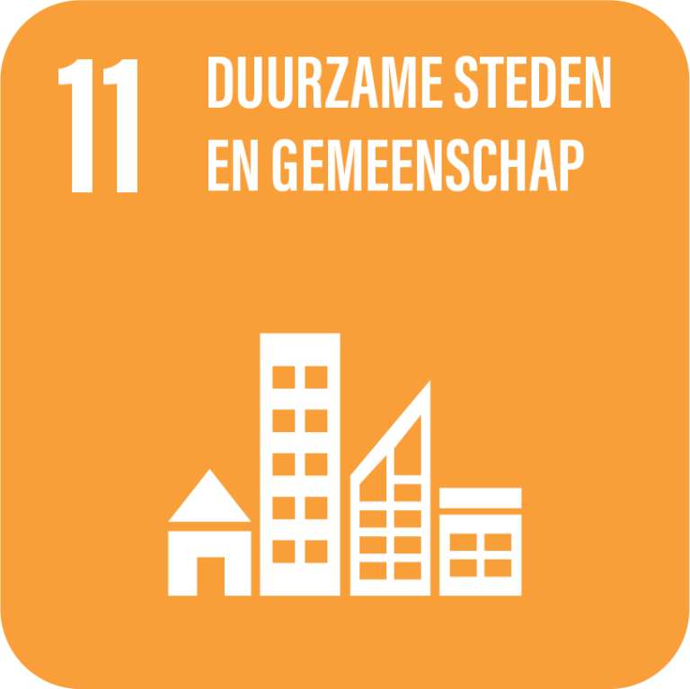 SDG 11, Duurzame steden en gemeenschap
