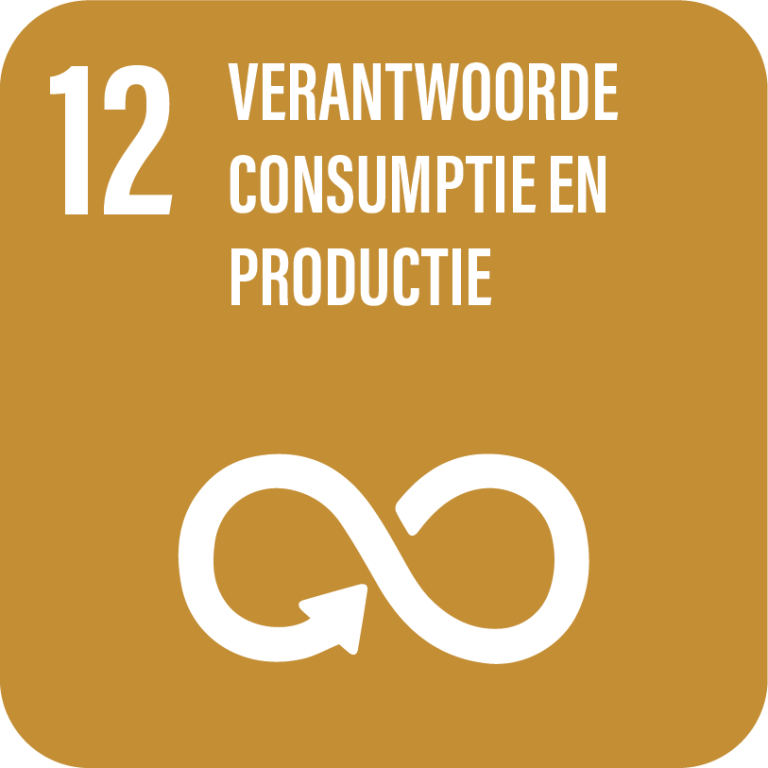 SDG 12, Verantwoorde consumptie en productie