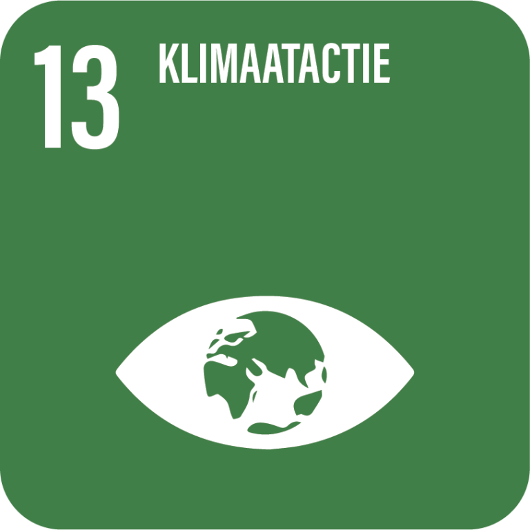 SDG 13, Klimaatactie
