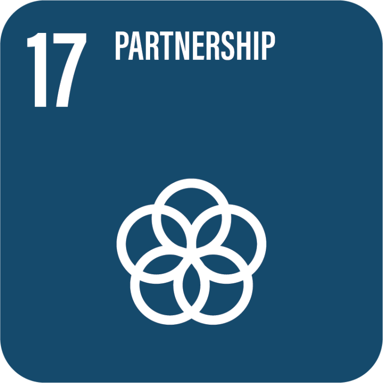 SDG 17, partnership