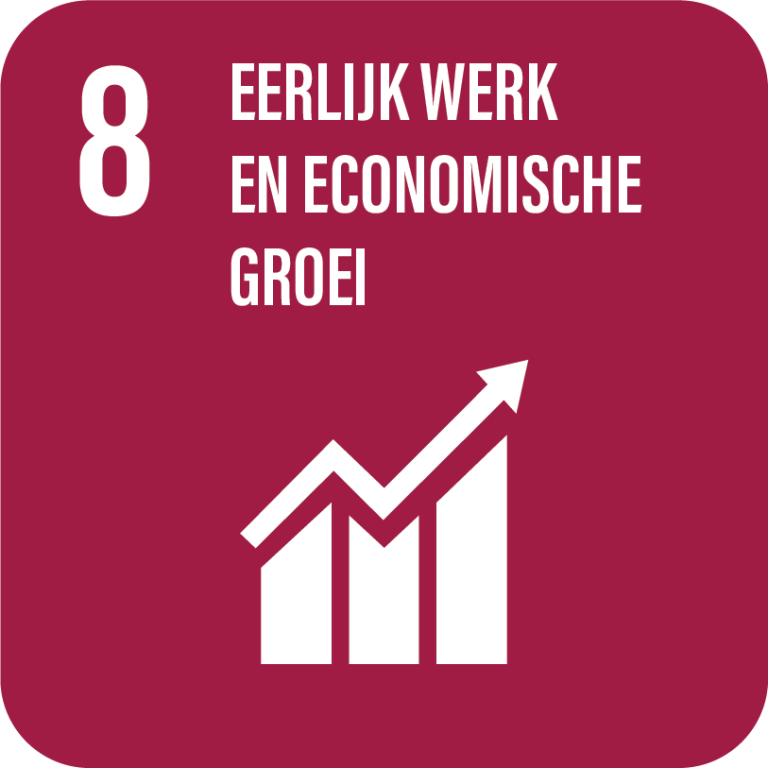 SDG 8, Eerlijk werk en economische groei
